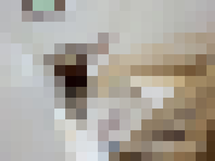  / #15
