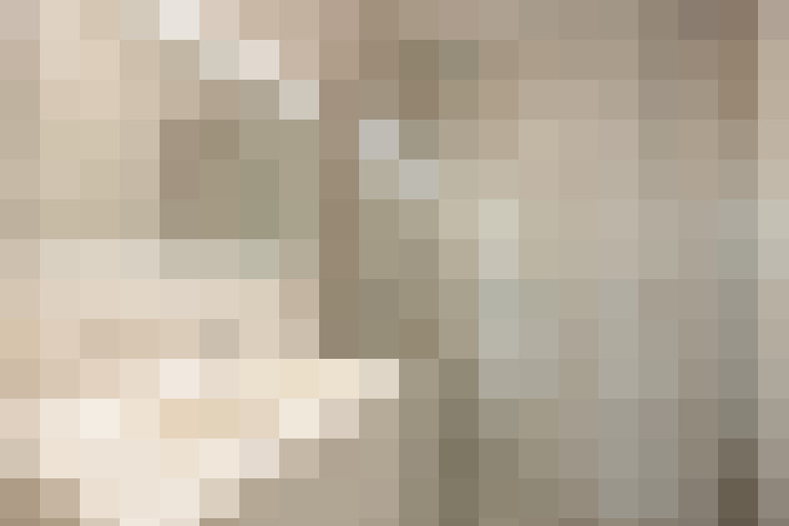  / #19