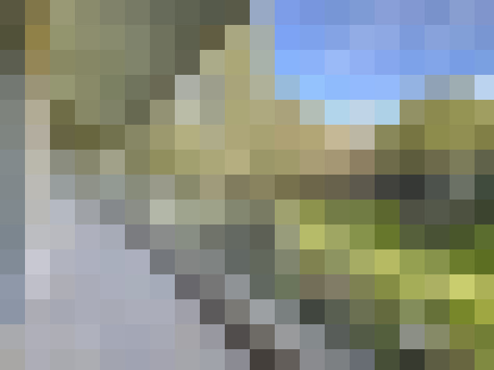  / #14