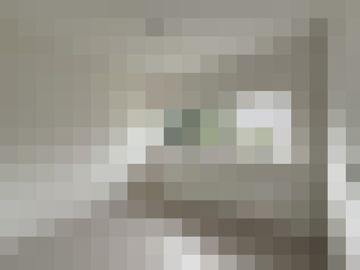  / #11