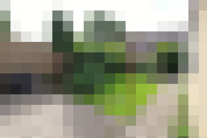  / #14