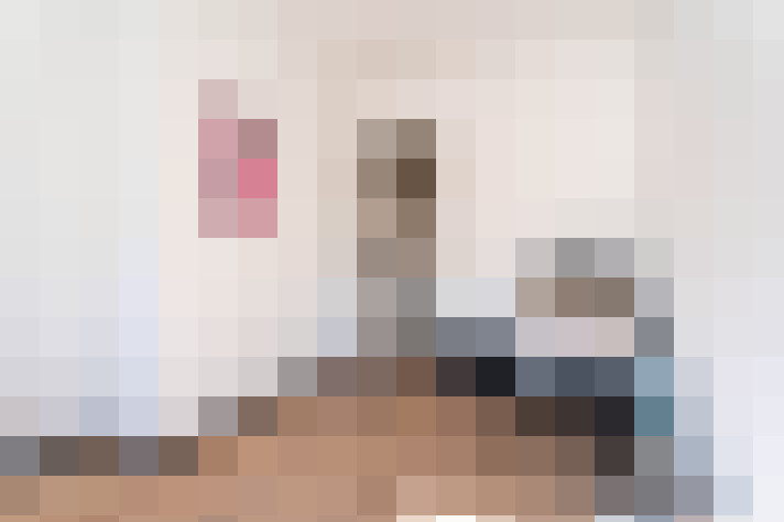  / #24