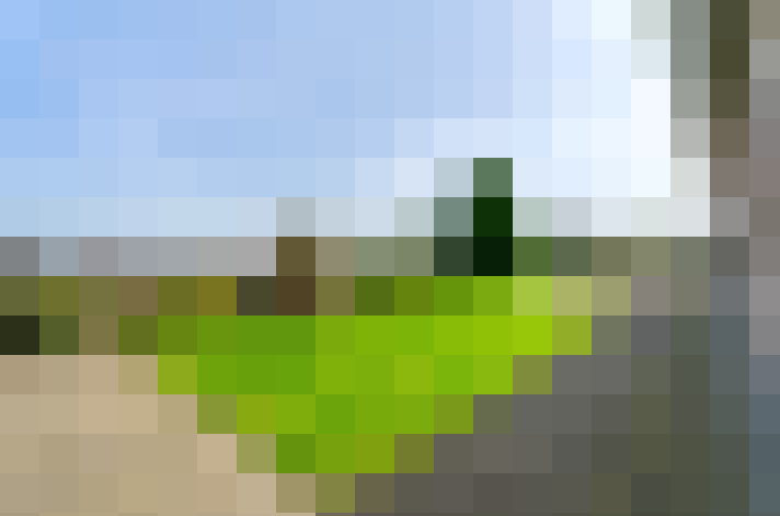  / #14