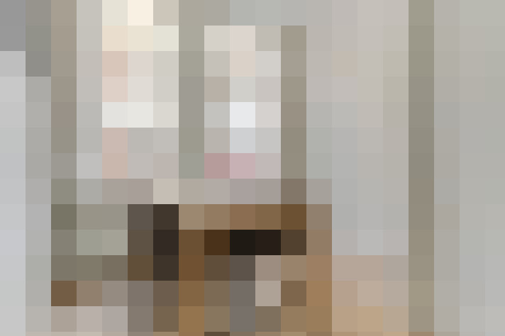  / #22
