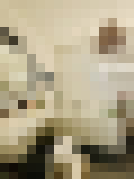  / #16