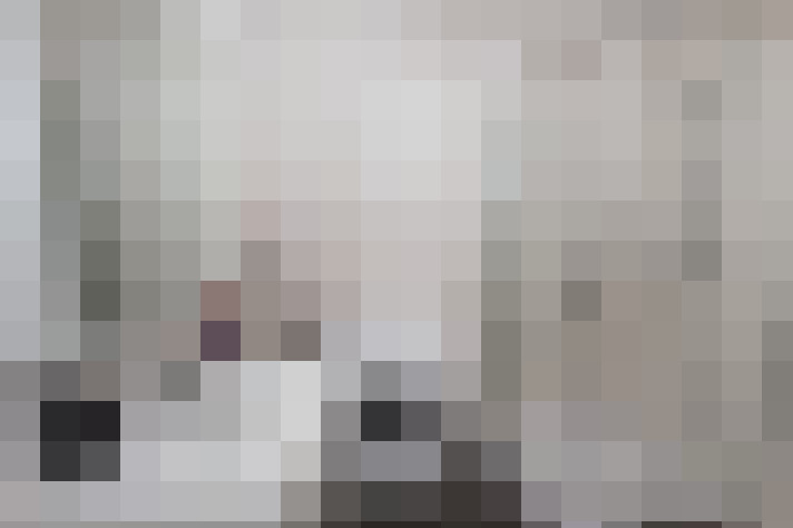  / #15