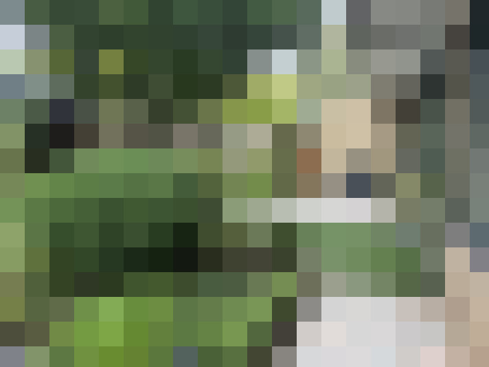  / #17