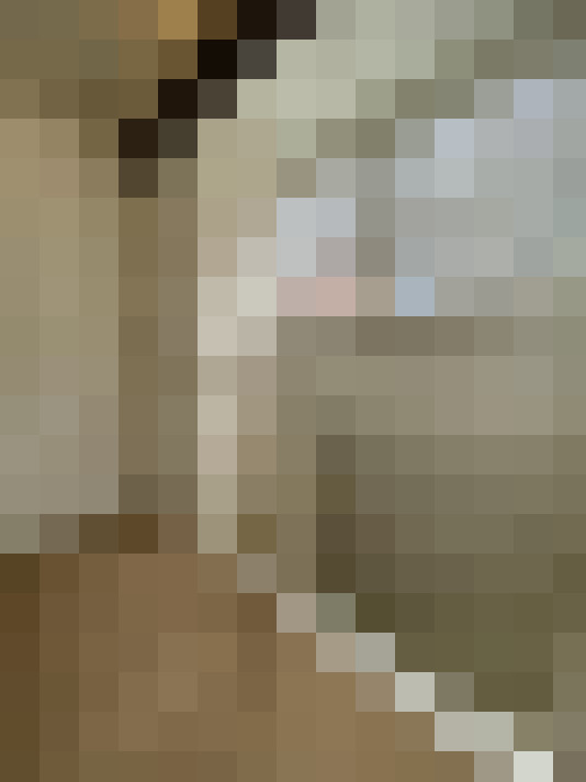  / #22