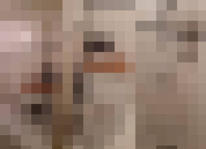  / #19