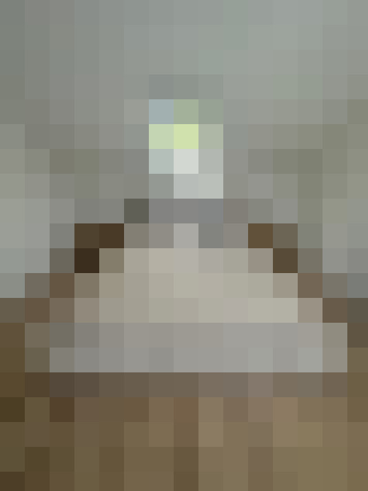  / #7