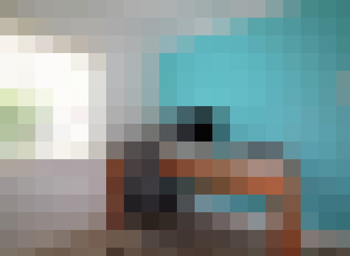  / #16