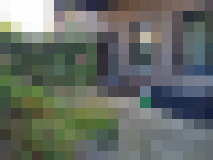  / #15
