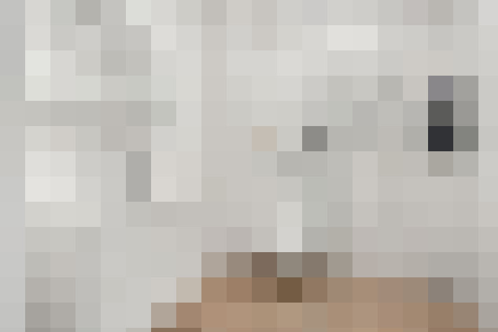  / #22