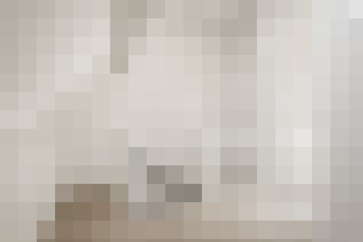  / #24