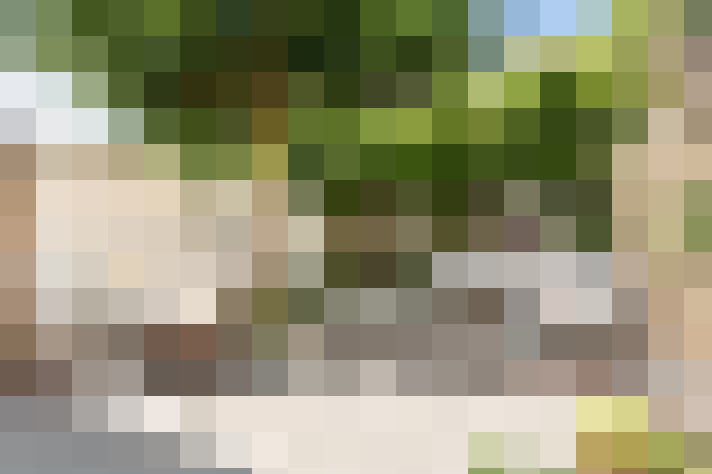  / #12