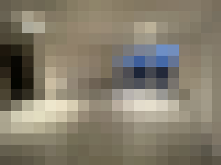  / #12