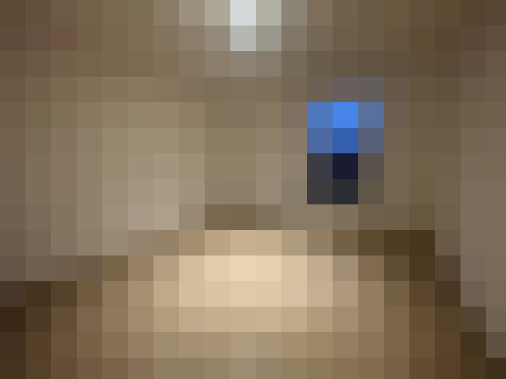  / #6