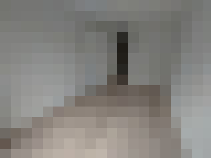  / #6