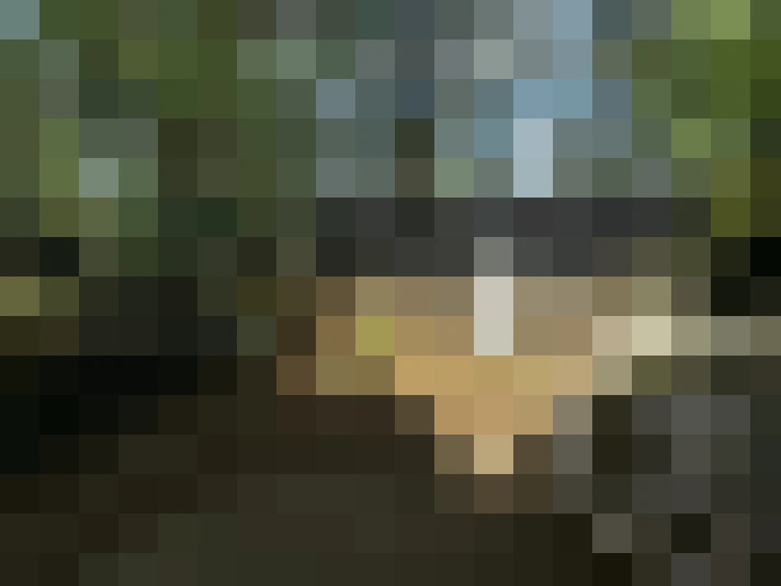  / #8