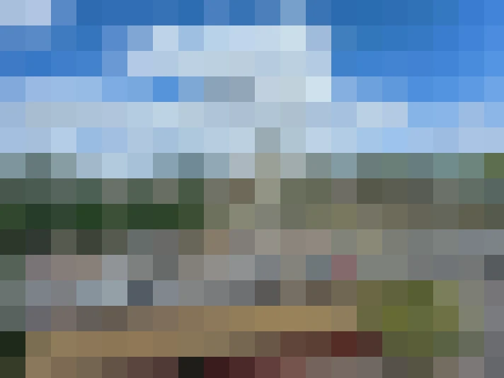  / #15