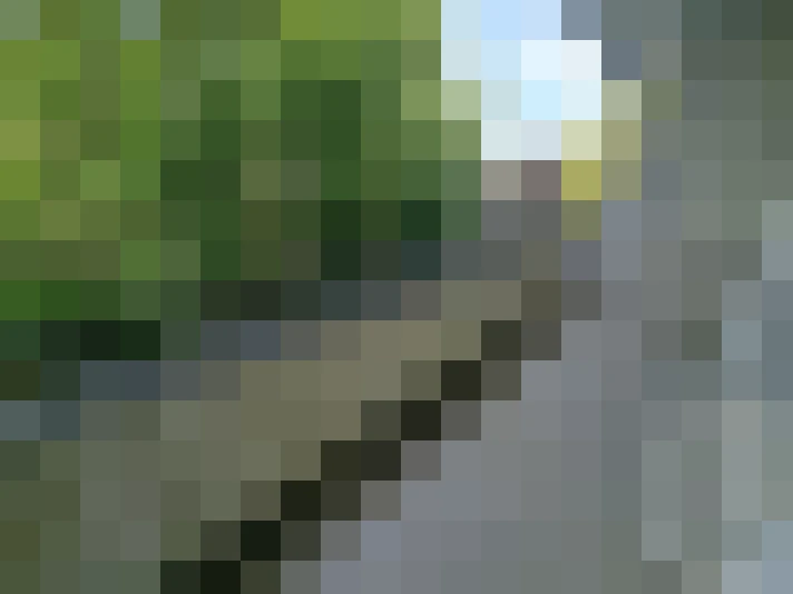  / #7