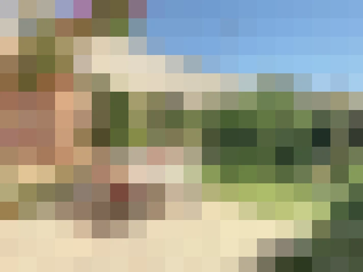  / #13