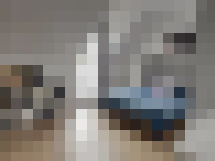  / #7