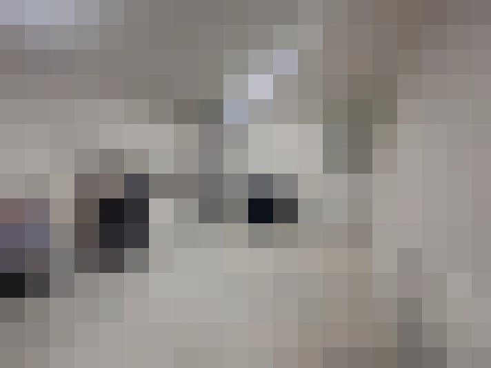  / #13