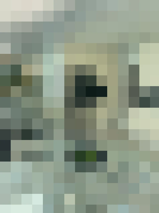  / #16