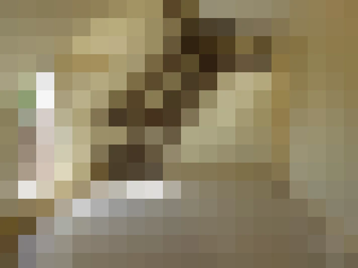  / #15