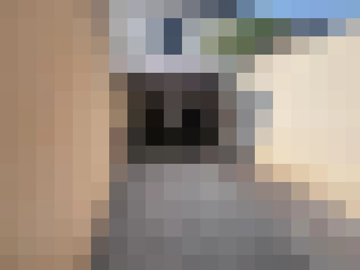  / #9