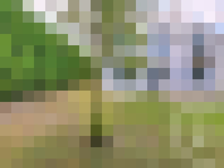  / #18