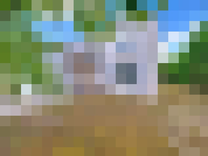  / #19