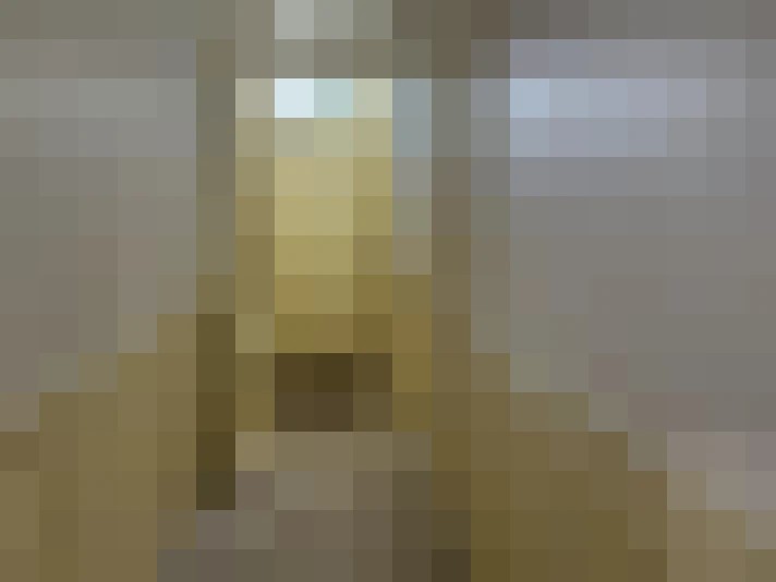  / #22