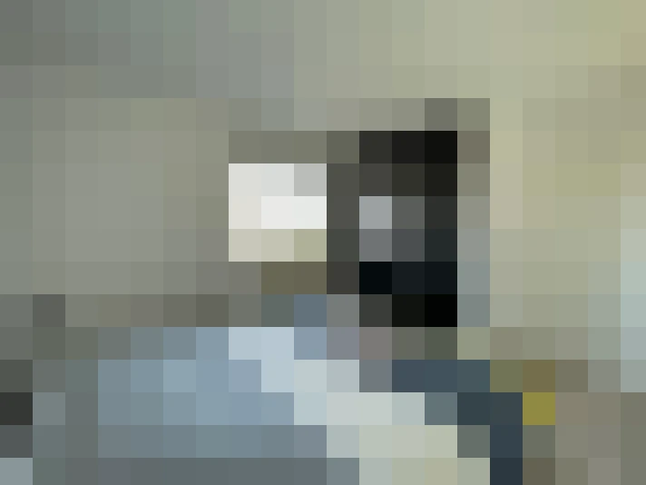  / #7