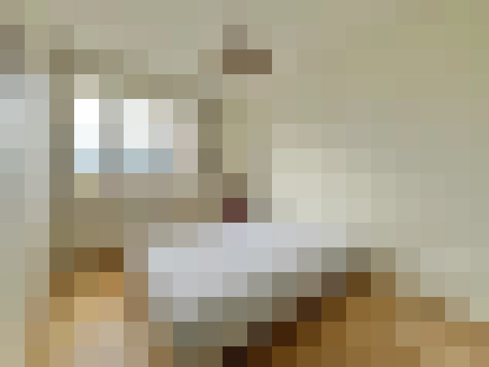 / #15