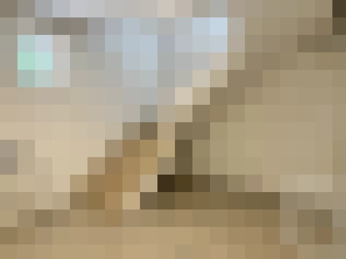 / #13