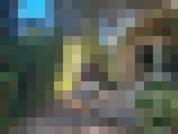  / #7