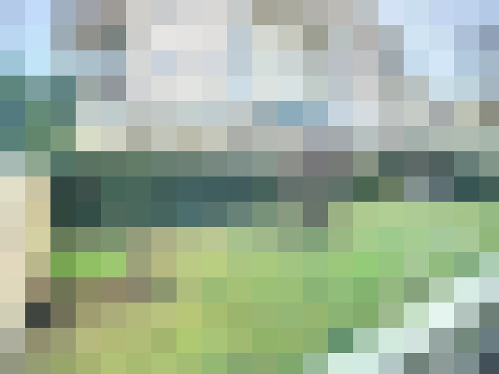  / #16