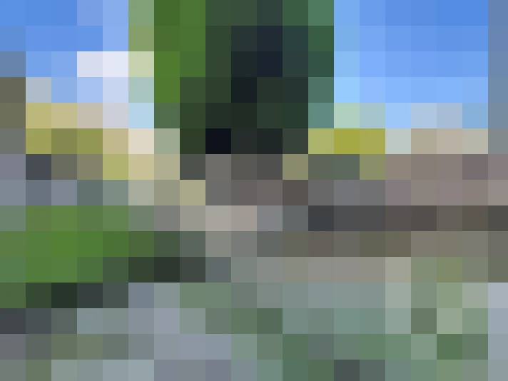  / #14