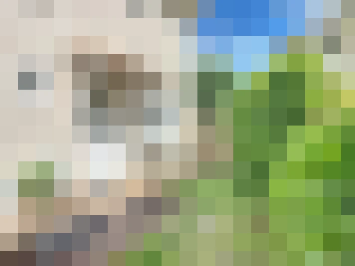  / #17