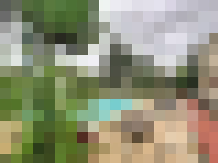  / #14