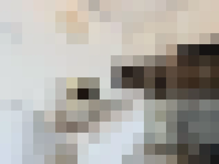  / #7