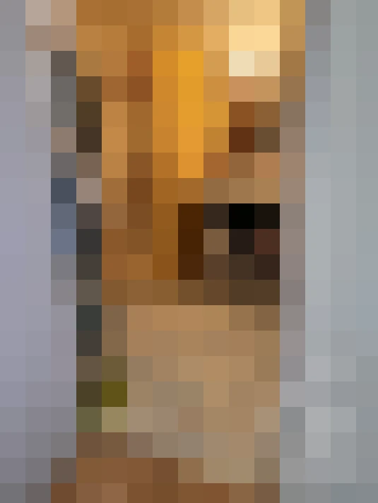  / #6