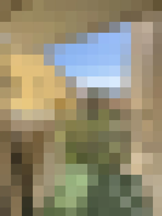  / #15