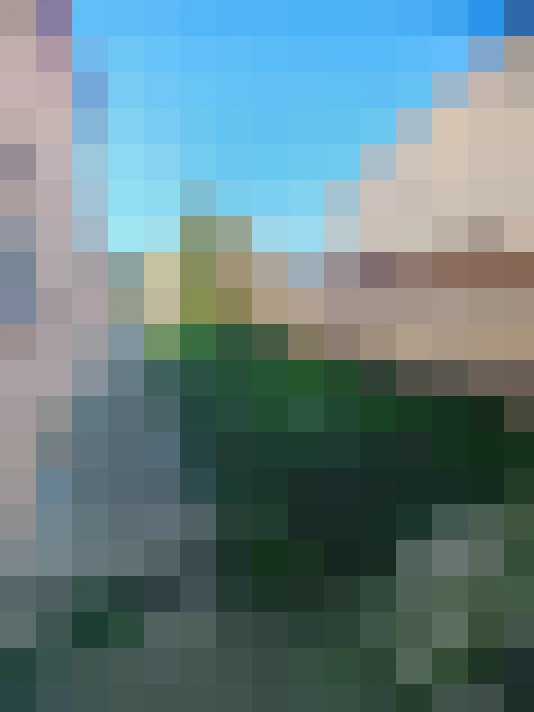  / #14