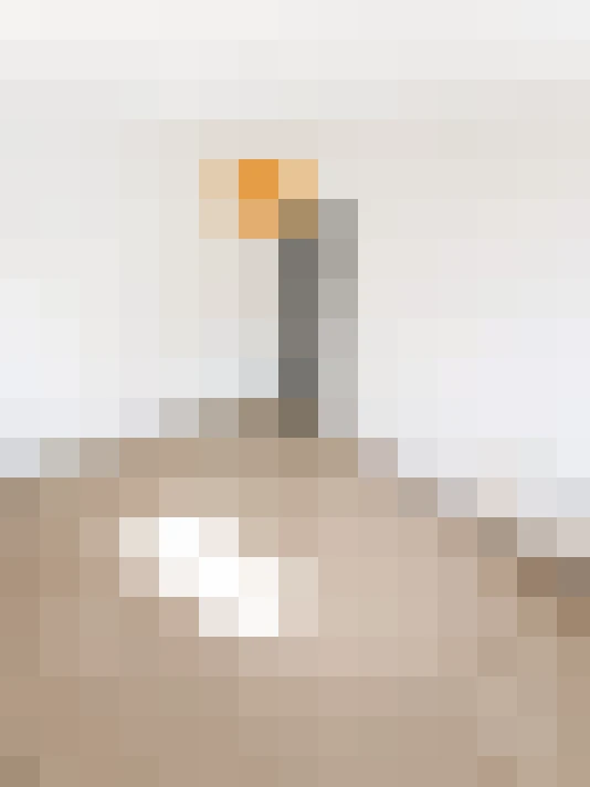  / #11