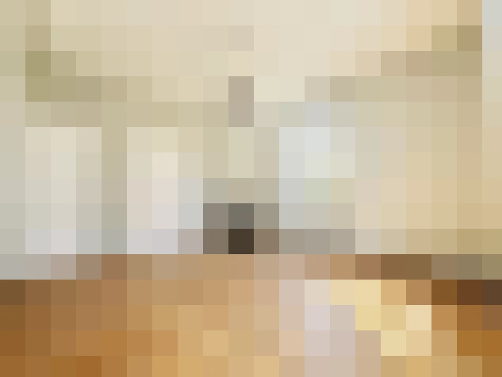  / #19