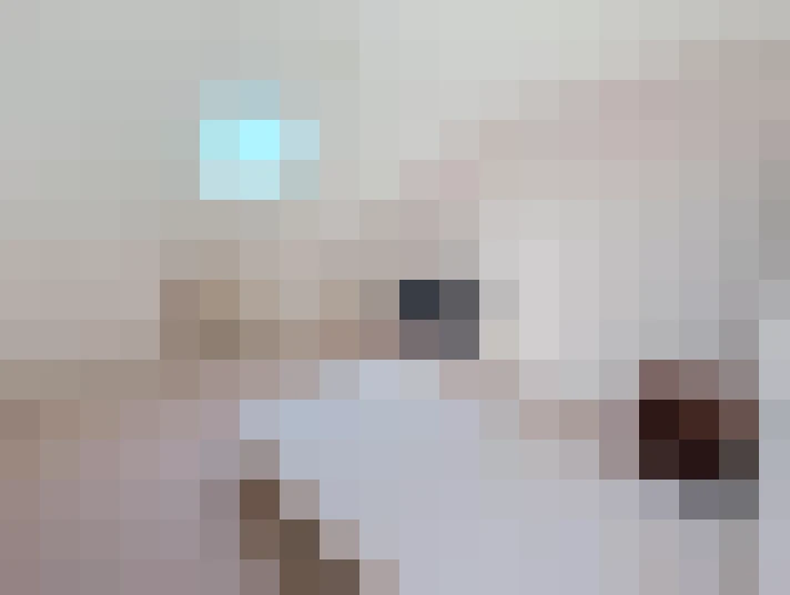  / #21