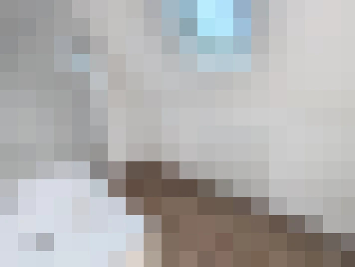  / #16